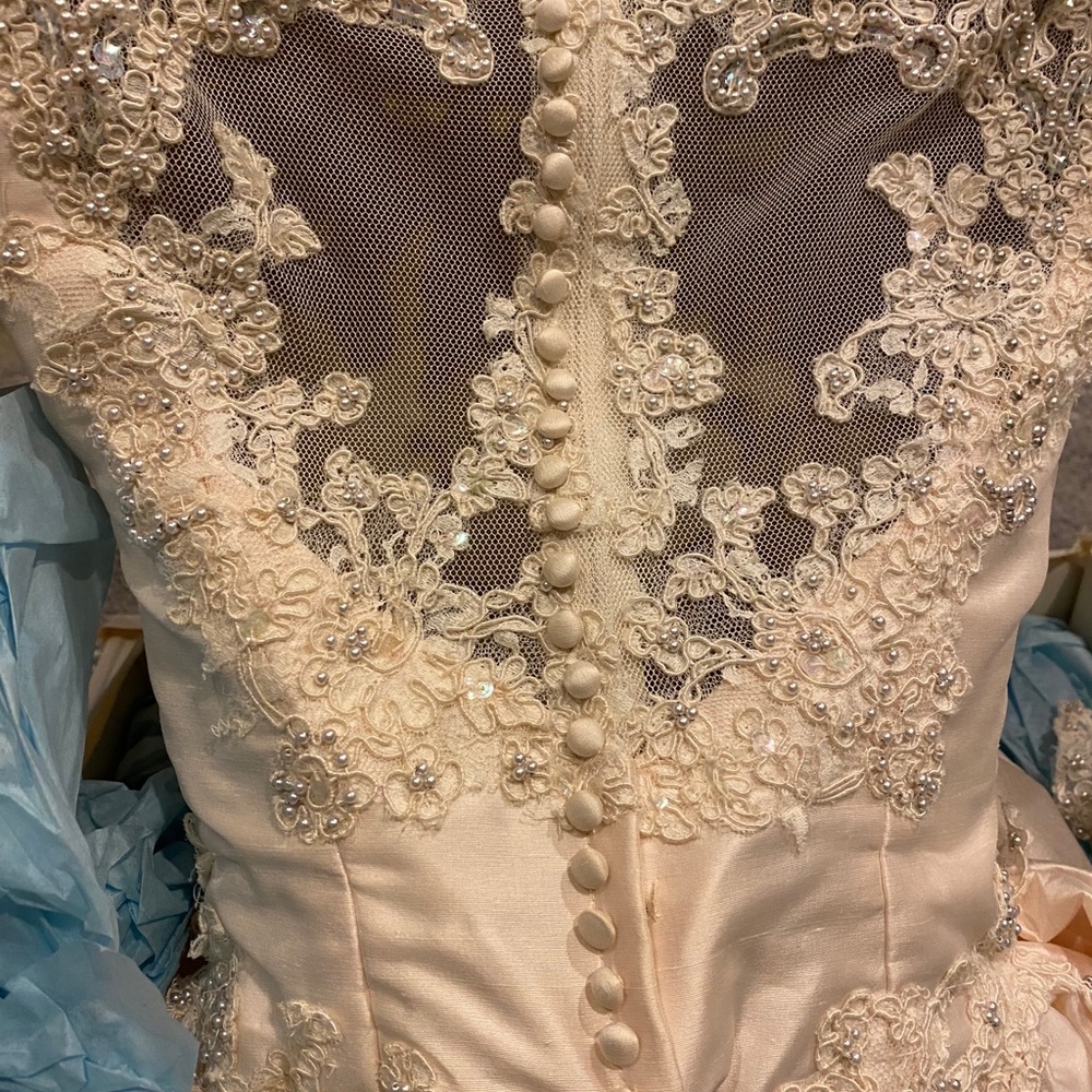 Priscilla of Boston Wedding Gown - Picture 7 of 12
